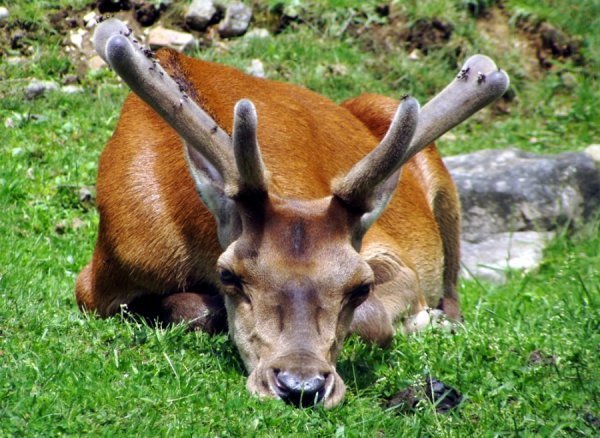Фотовиставка Олександра Пизи